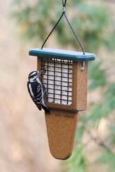 EcoTough Tail Prop Suet Feeder