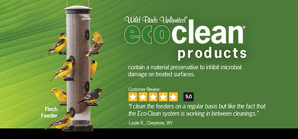 EcoClean