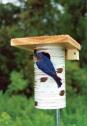 Gilbertson Nest Box